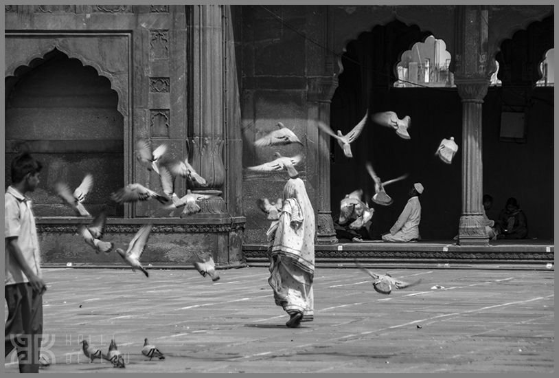 � Kalli Bellou / www.kallibellou.com