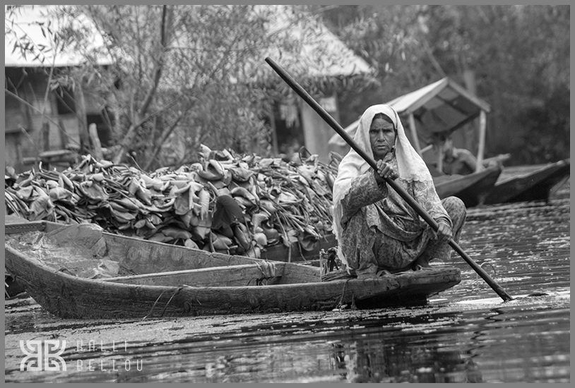 � Kalli Bellou / www.kallibellou.com