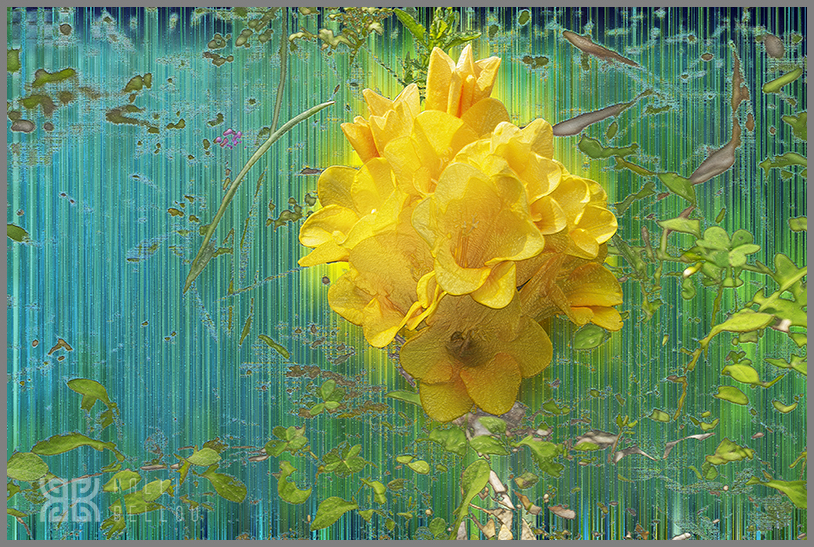 � Kalli Bellou / www.kallibellou.com