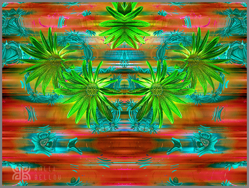 � Kalli Bellou / www.kallibellou.com