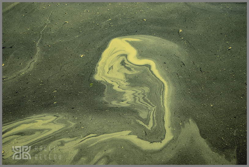 � Kalli Bellou / www.kallibellou.com