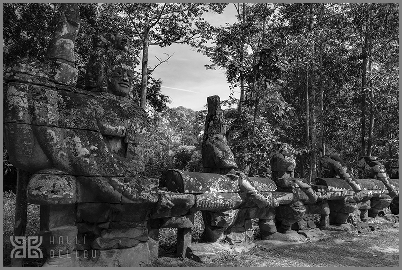 � Kalli Bellou / www.kallibellou.com