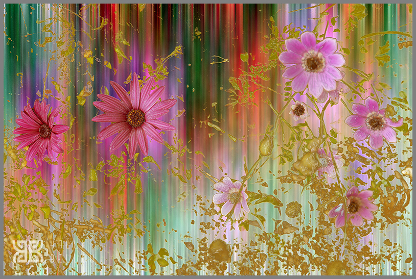 � Kalli Bellou / www.kallibellou.com