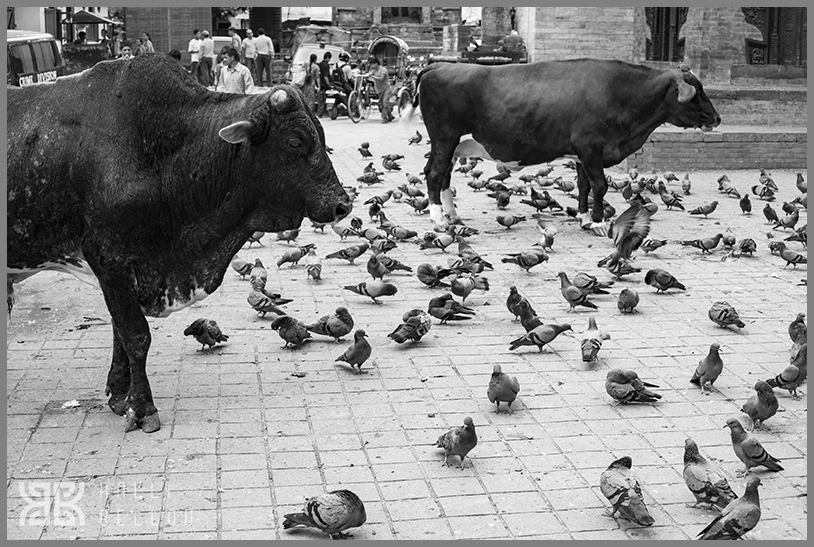 � Kalli Bellou / www.kallibellou.com