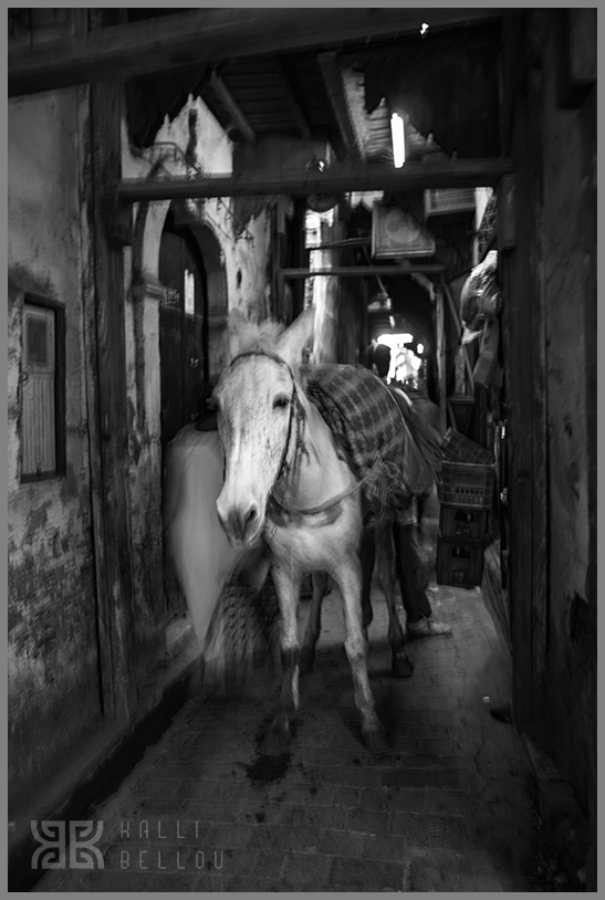 � Kalli Bellou / www.kallibellou.com