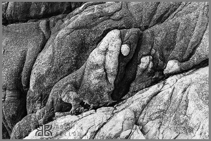 � Kalli Bellou / www.kallibellou.com