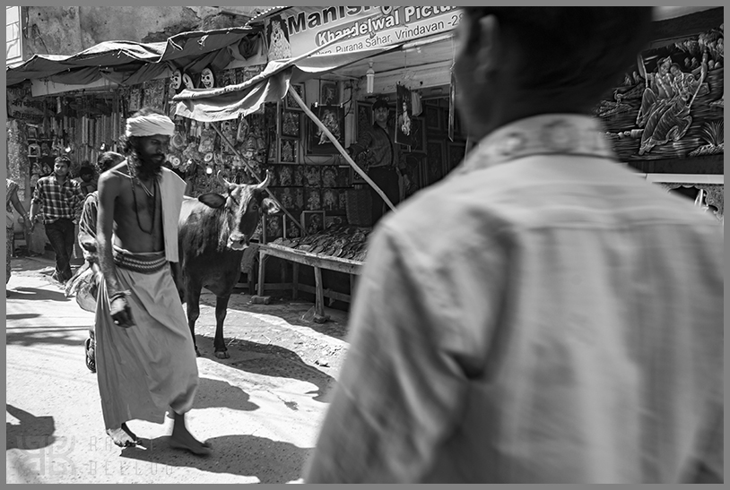 � Kalli Bellou / www.kallibellou.com