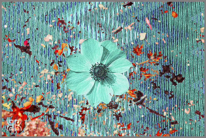 � Kalli Bellou / www.kallibellou.com