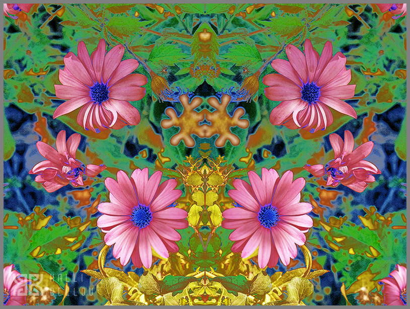 � Kalli Bellou / www.kallibellou.com