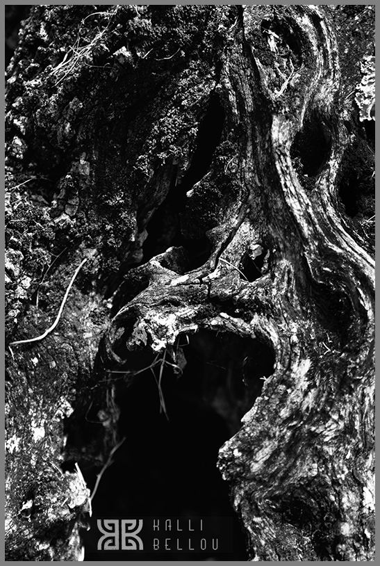� Kalli Bellou / www.kallibellou.com