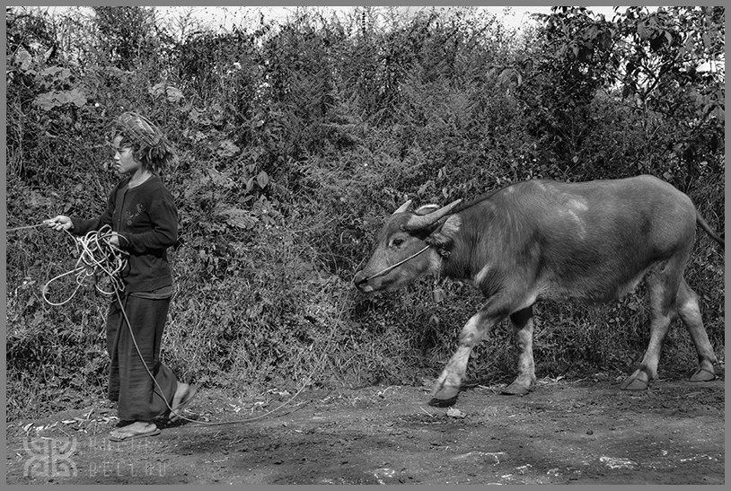 � Kalli Bellou / www.kallibellou.com