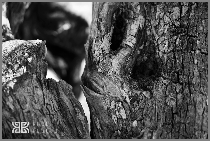 � Kalli Bellou / www.kallibellou.com